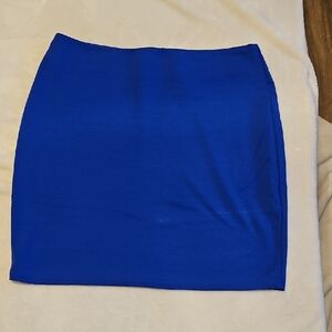 Elegant Blue Women's Skirt